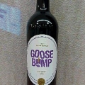 グース・バンプ